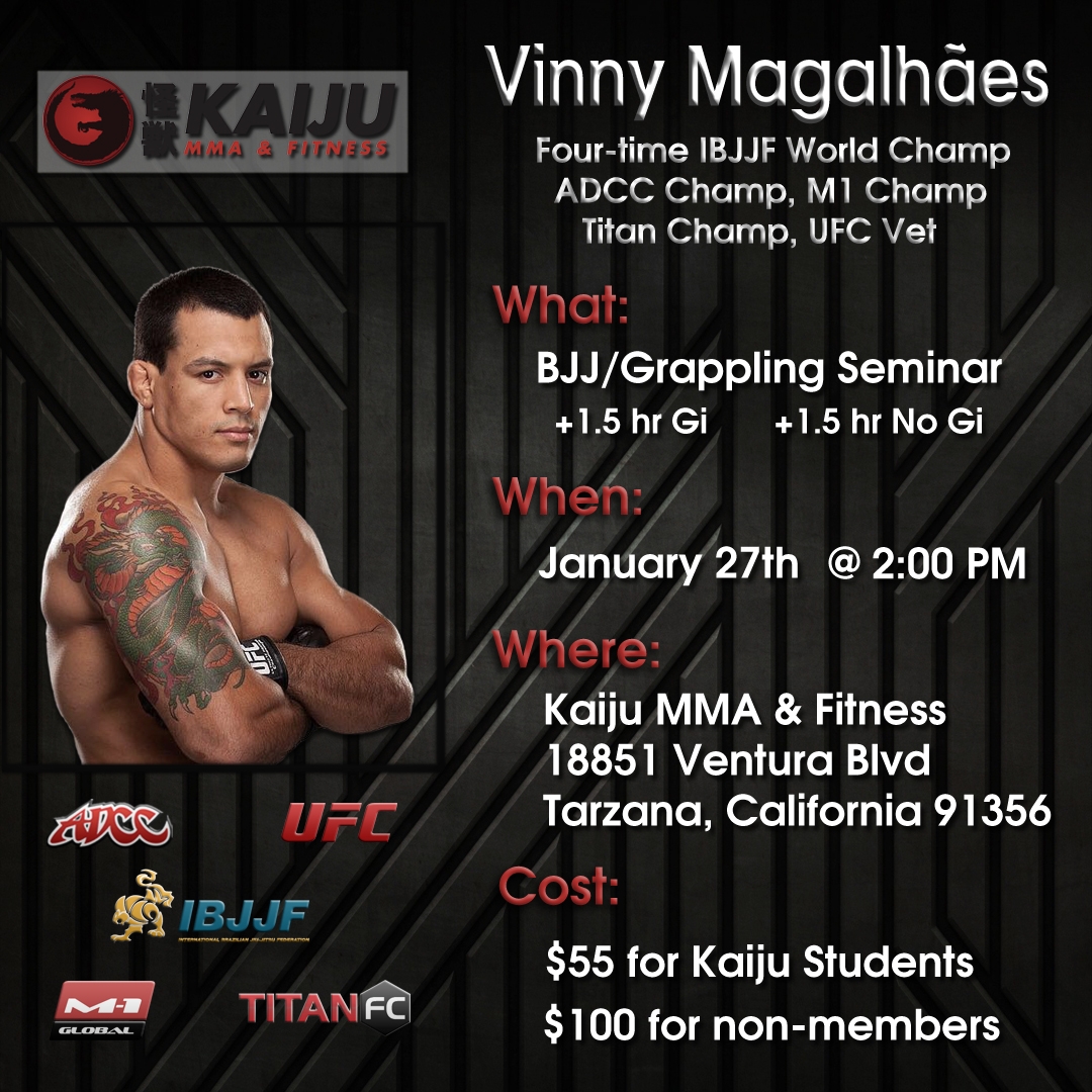 Vinny Magalhães Seminar